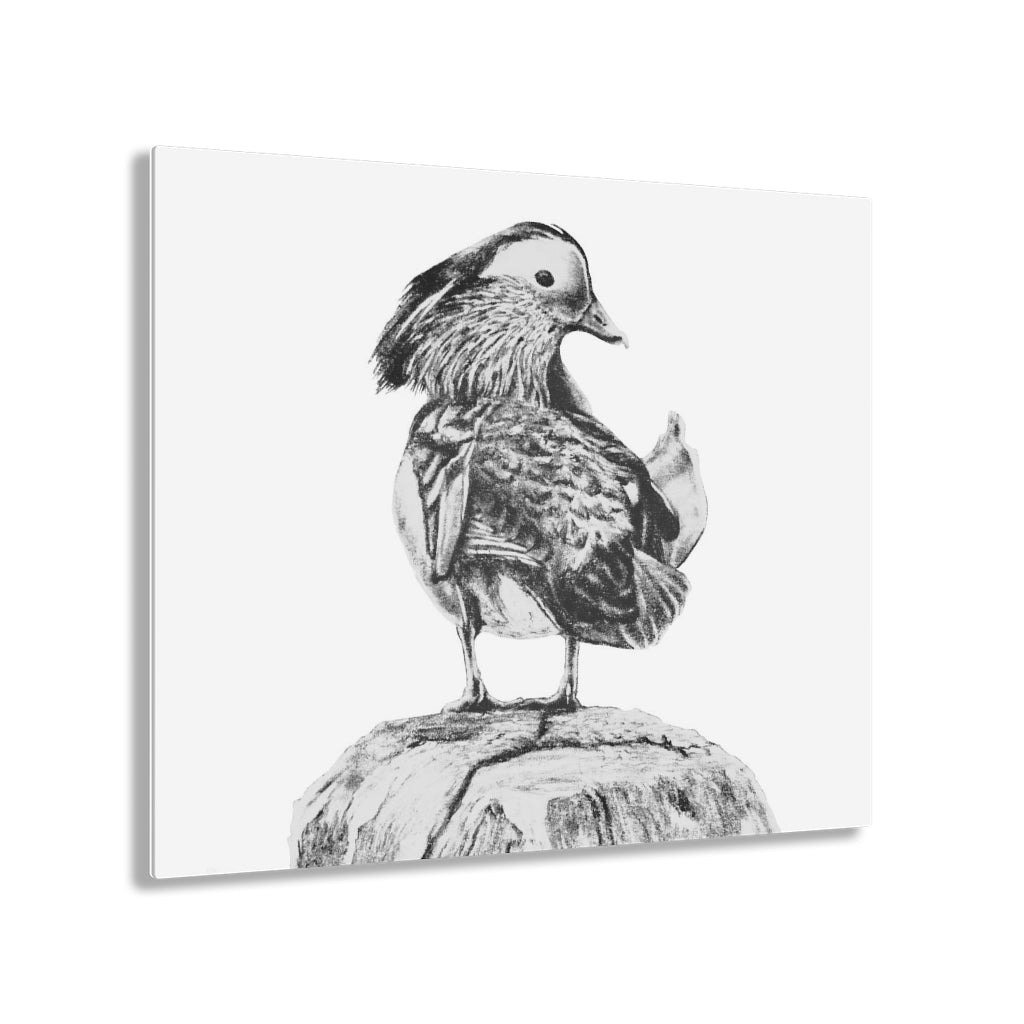 Lake Bird (Acrylic Prints)