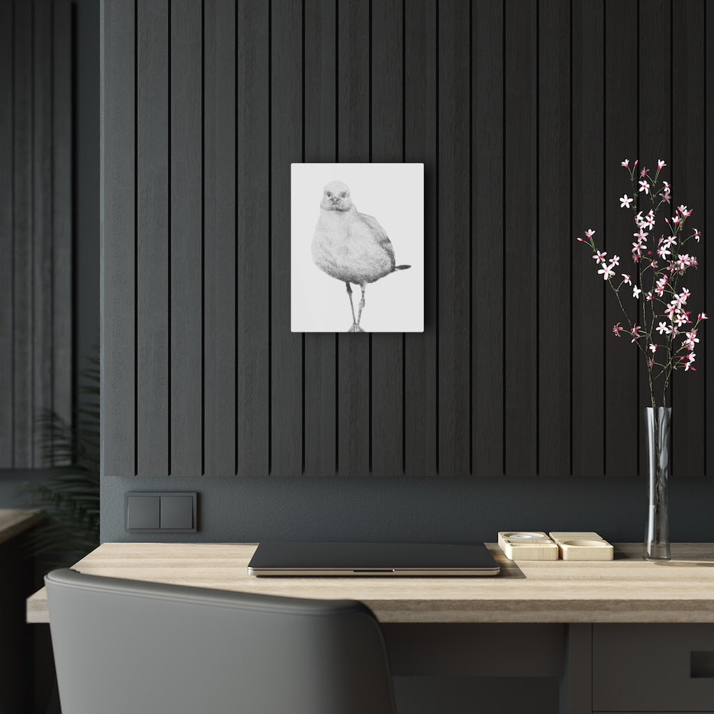 Curiosity (Acrylic Print)