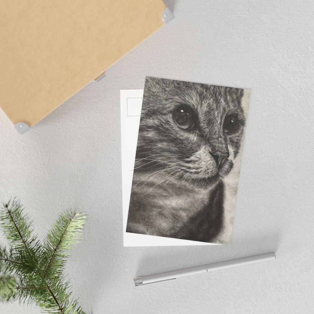 "Close Encounter" Postcards