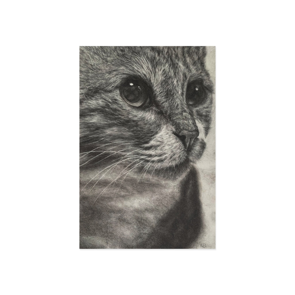 "Close Encounter" Postcards