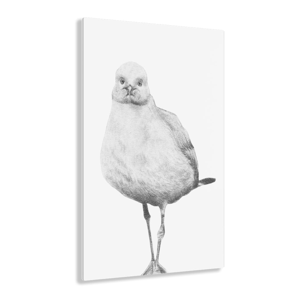 Curiosity (Acrylic Print)
