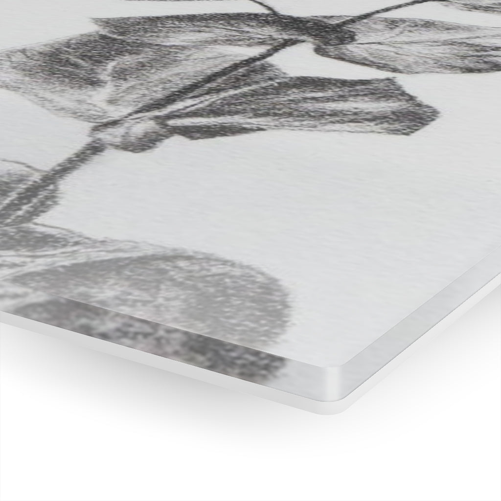 Eucalyptus (Acrylic Prints)
