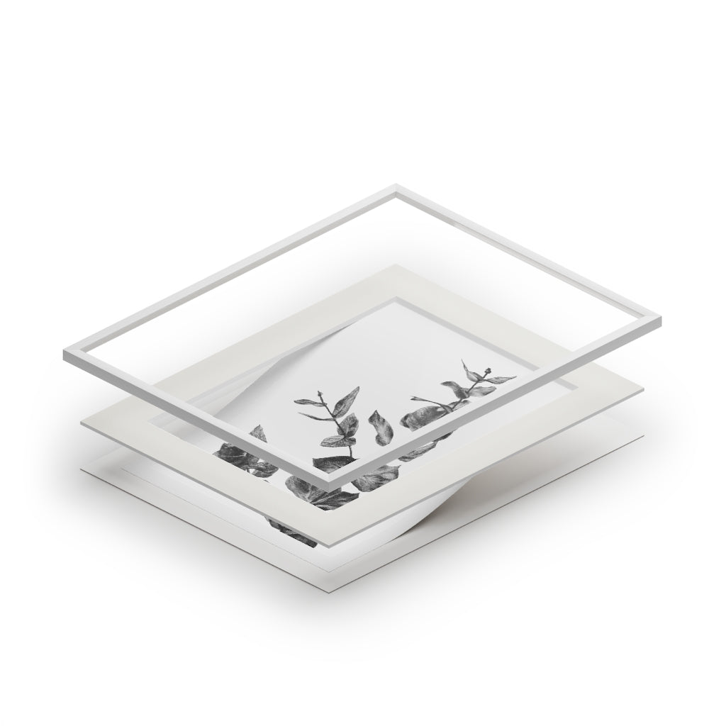 Eucalyptus (Fine Art Print with Passepartout Paper Frame)