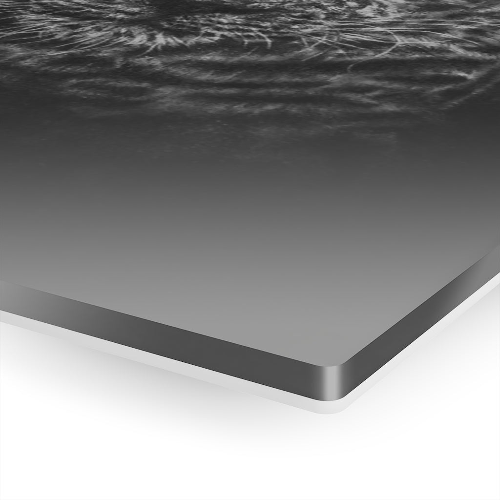 At the Ready (Acrylic Prints)