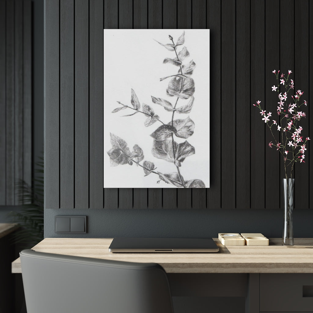 Eucalyptus (Acrylic Prints)