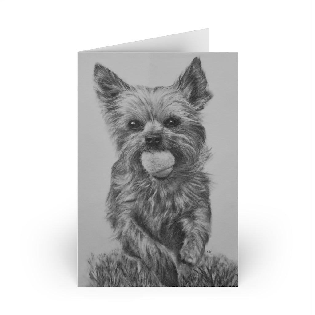 Yorkie (Greeting Cards, 1 or 10-pcs)