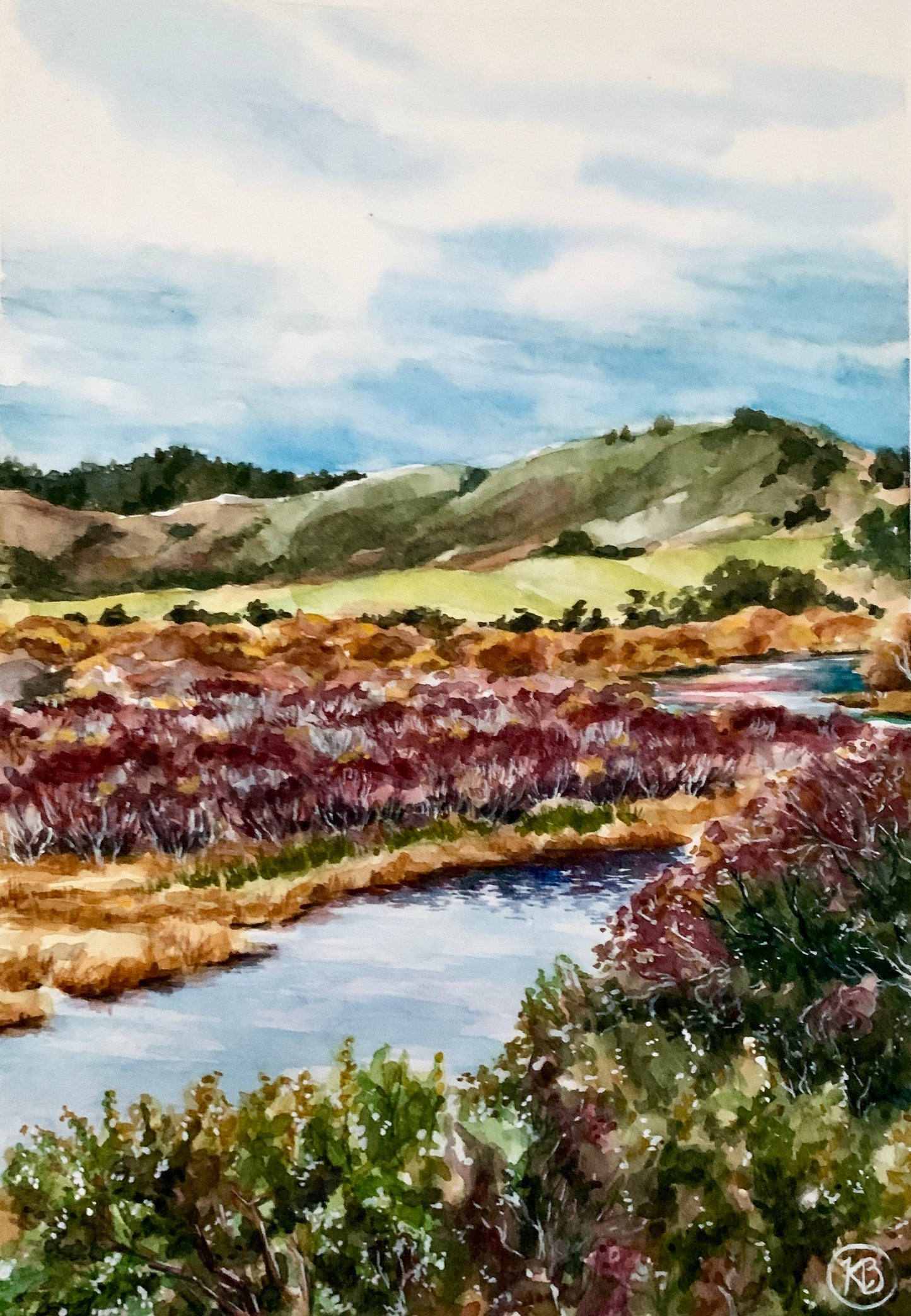 Colorful Reflections