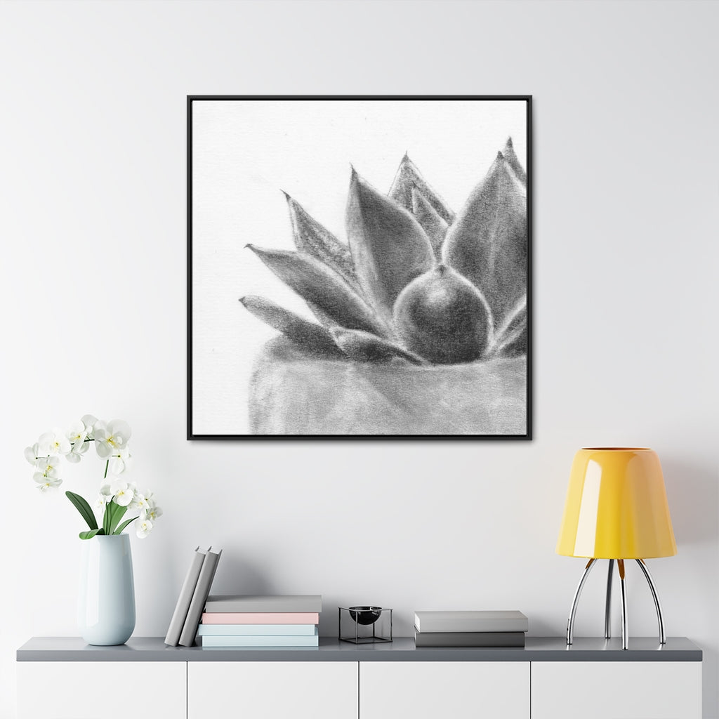 Succulent (Gallery Canvas Wraps)