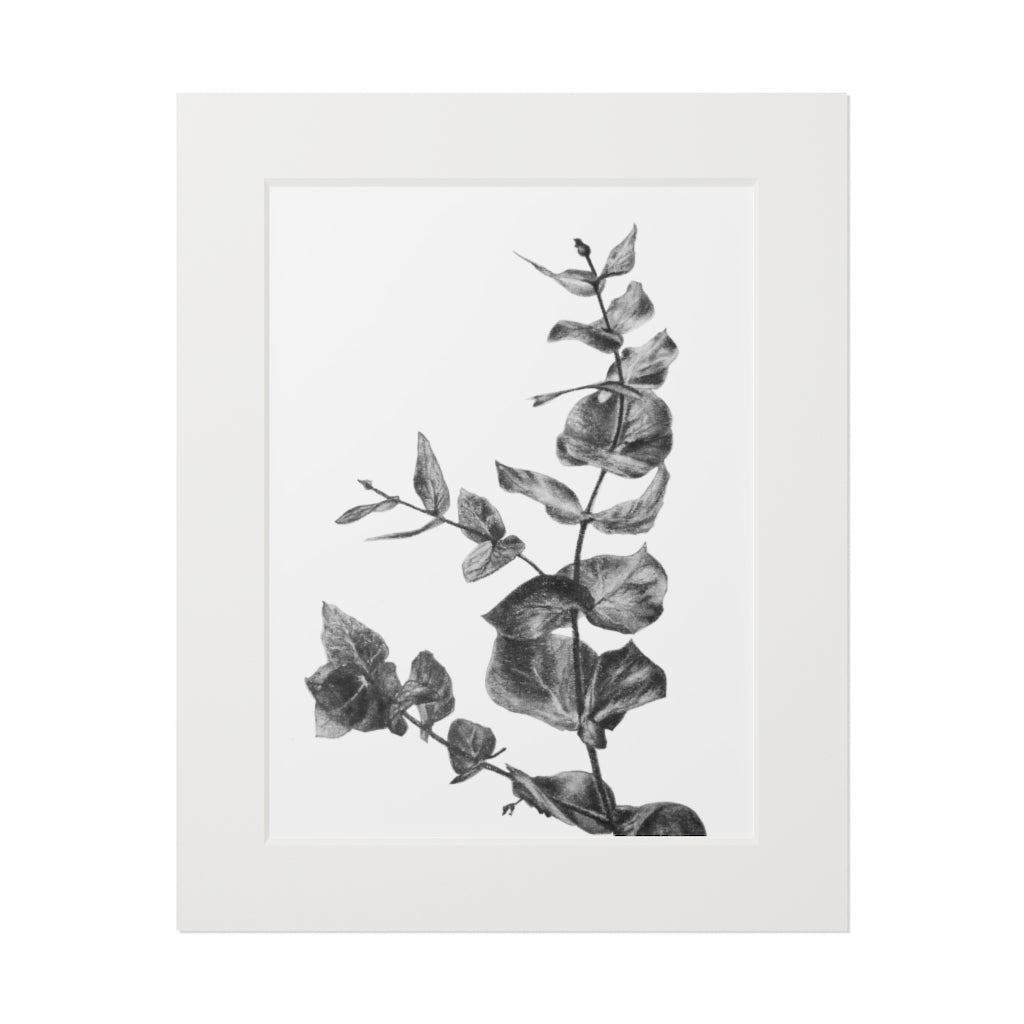 Eucalyptus (Fine Art Print with Passepartout Paper Frame)