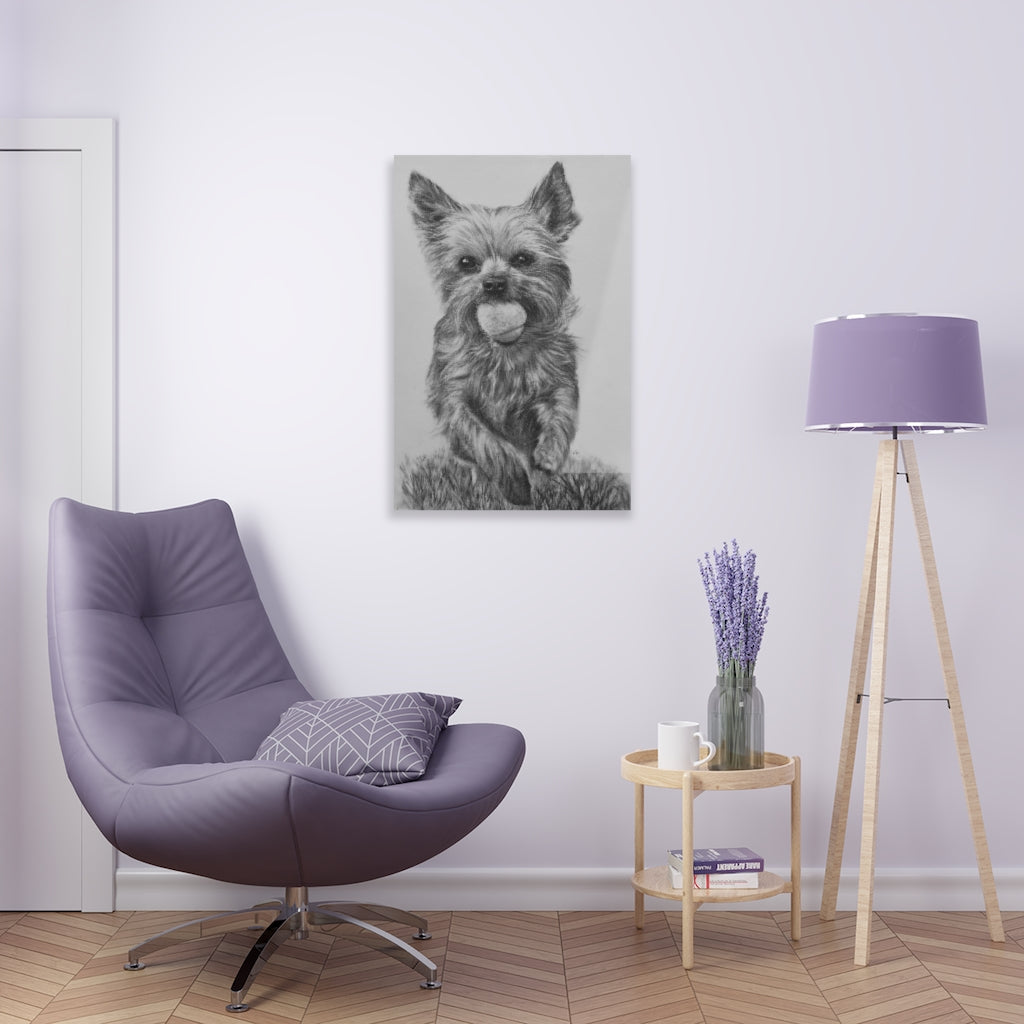 Yorkie (Acrylic Prints)