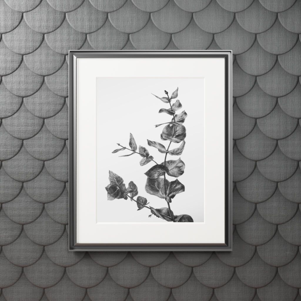 Eucalyptus (Fine Art Print with Passepartout Paper Frame)