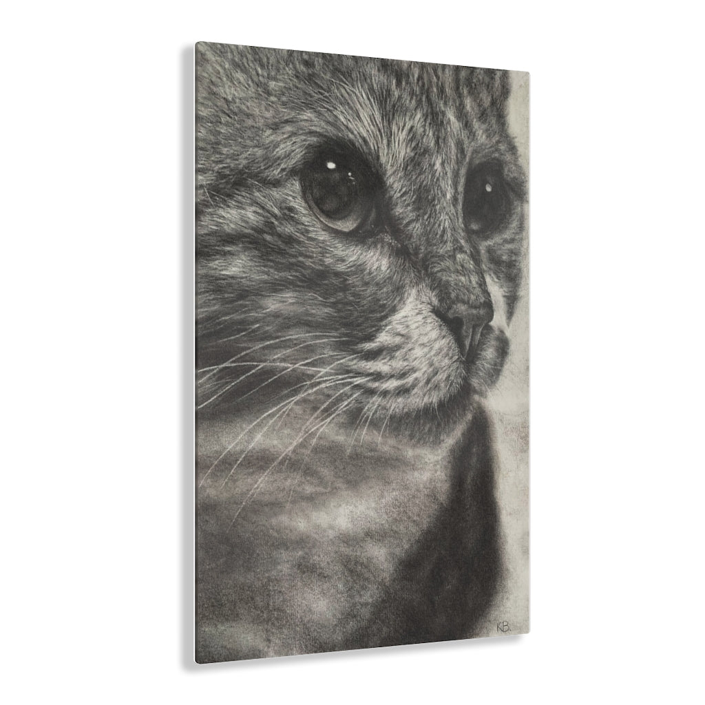Close Encounter (Acrylic Print)