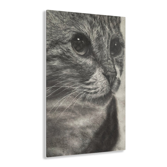 Close Encounter (Acrylic Print)
