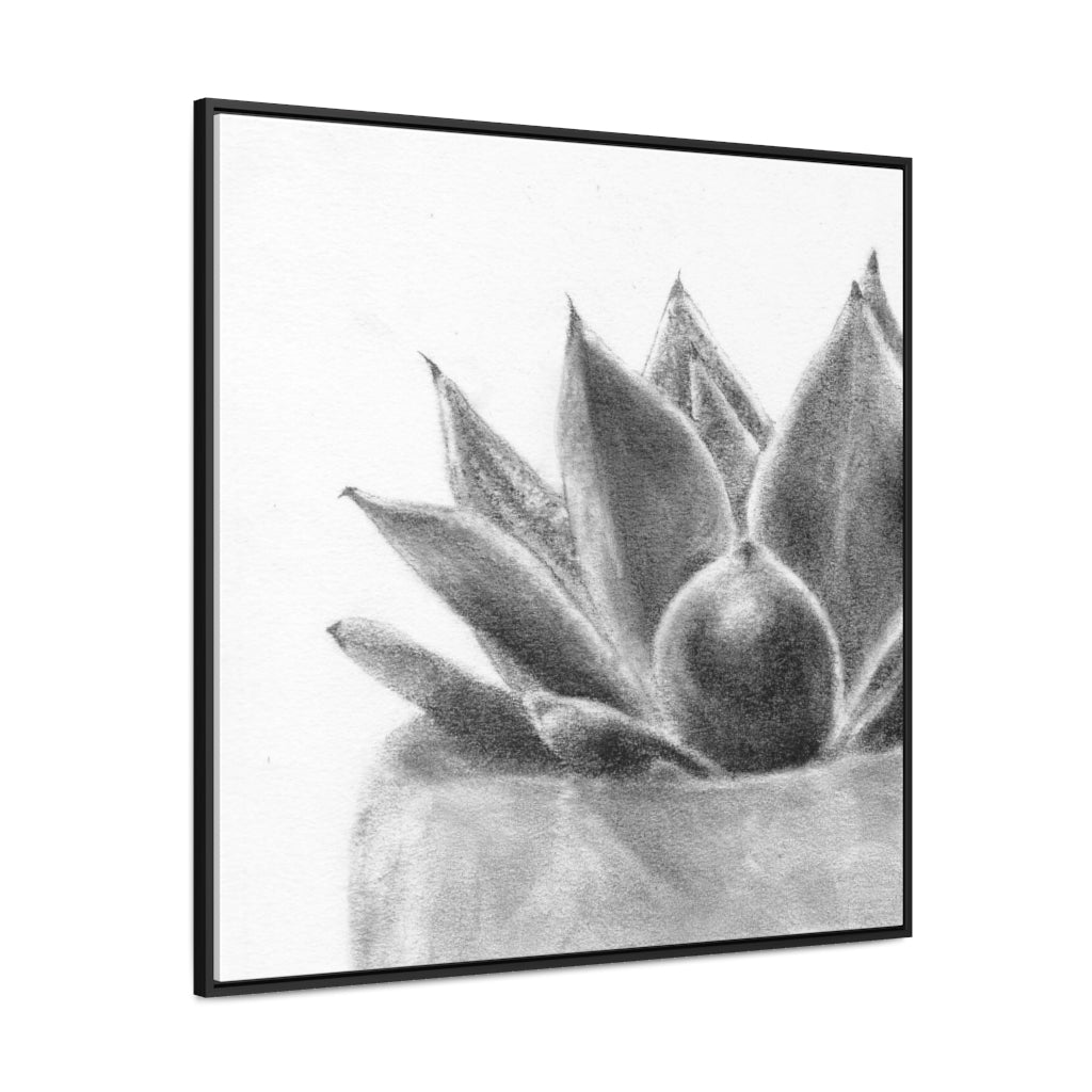 Succulent (Gallery Canvas Wraps)