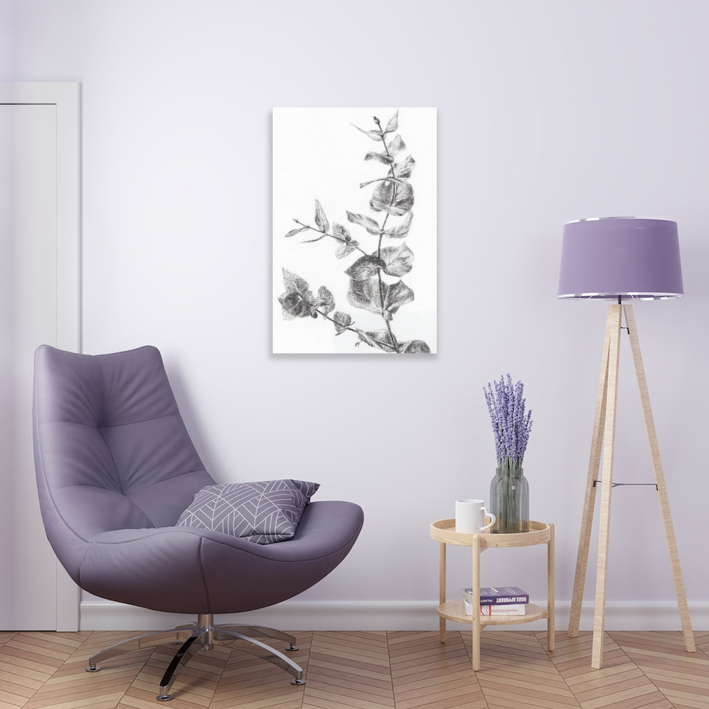 Eucalyptus (Acrylic Prints)