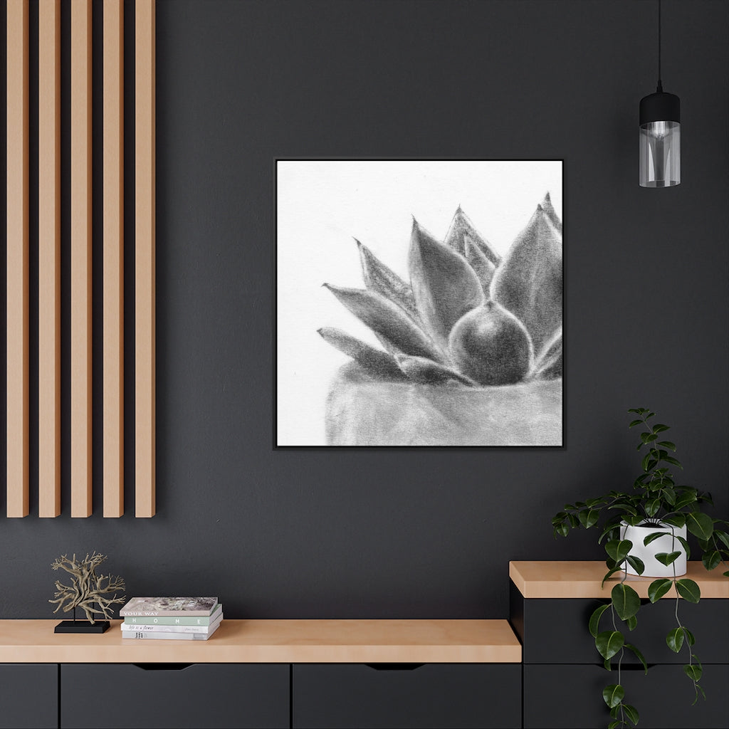 Succulent (Gallery Canvas Wraps)