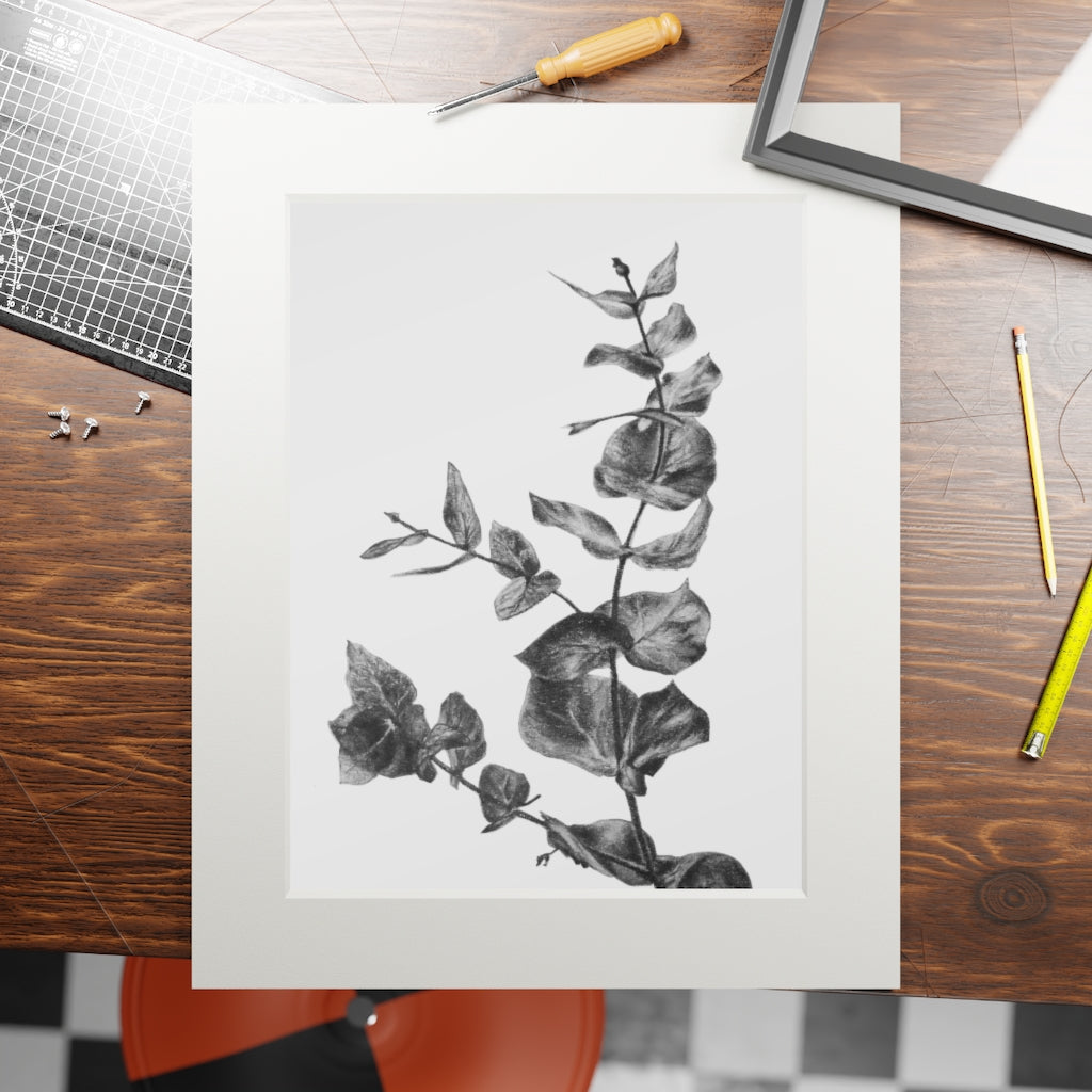 Eucalyptus (Fine Art Print with Passepartout Paper Frame)