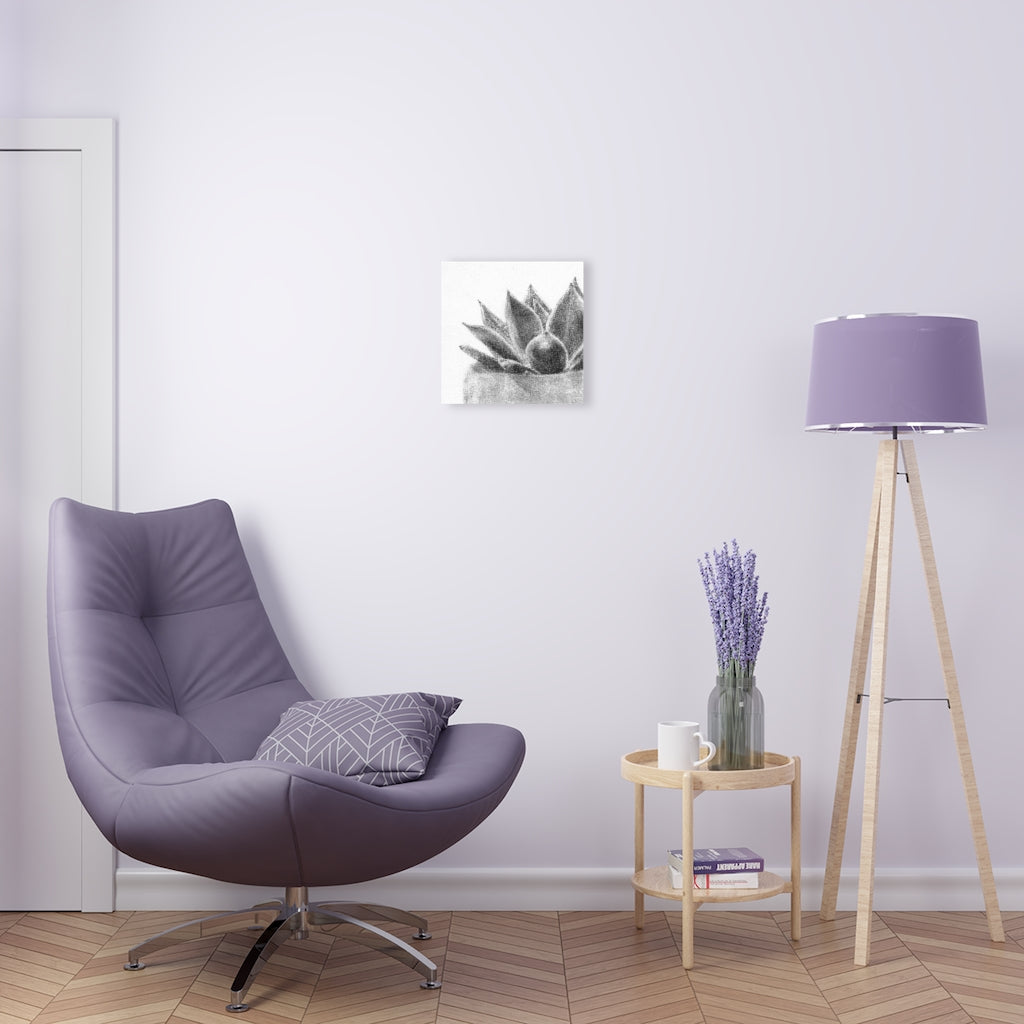 Succulent (Acrylic Prints)