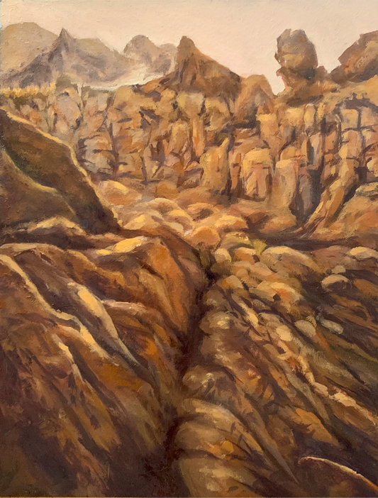 Cliff Study
