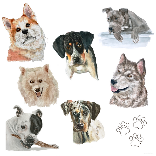 NEW! Custom Watercolor Pet Portraits