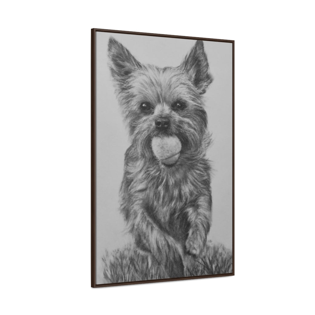 Yorkie (Gallery Canvas Wraps)